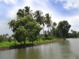 Backwater