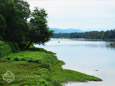 Kerala River Bank