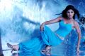 Shilpa Shetty