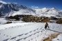 'Summers for making money, winters for making merry' (Postcard from Lahaul and Spiti) 