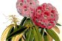 Colonial India's treasures live in a Delhi home 