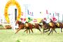 CN Wadia cup.