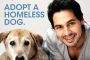 Adopt homeless dogs, Dino Morea urges 