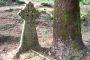 Faded epitaphs, damaged tombstones, moss-covered graves are the condition of a British-era cemetery located near the St John’s Church in McLeodganj in Dharamsala in Himachal Pradesh.