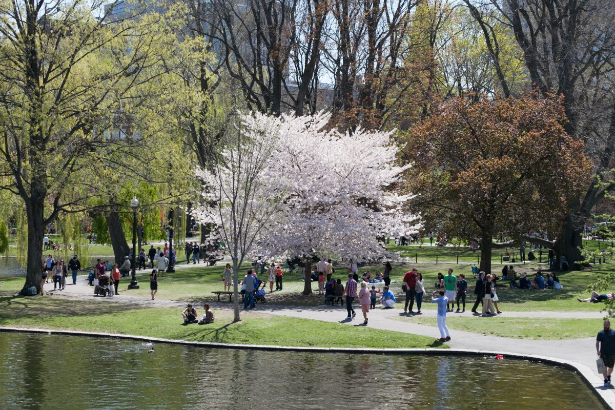 Cowded place to visit in Spring