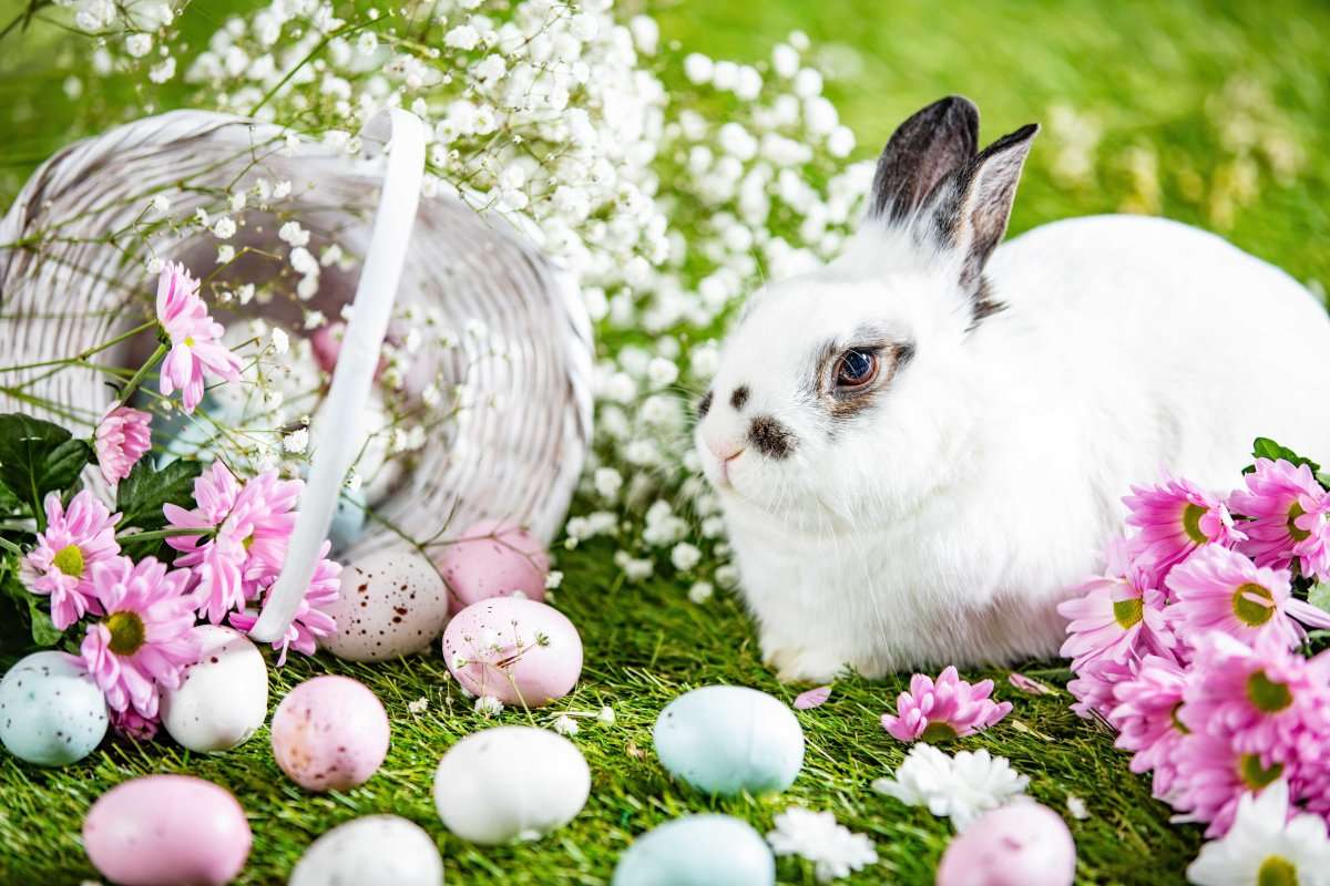Easter Around the World: 7 Fun and Interesting Facts