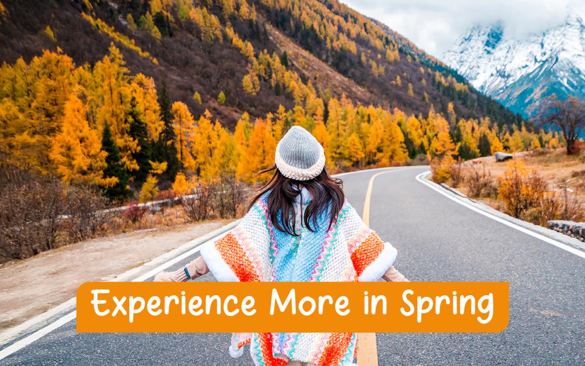 Experience More in Spring