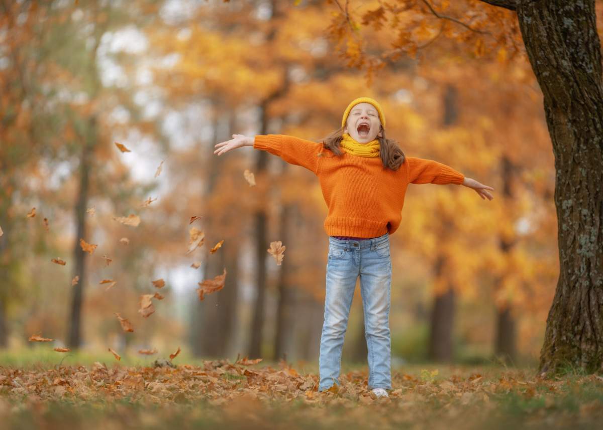 Kids and Fall: Colors, Crafts, and Fun Activities