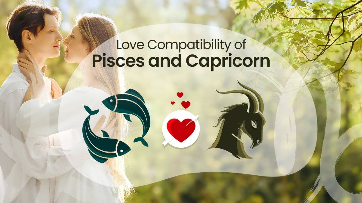Pisces and Capricorn Compatibility How These Zodiacs Connect in Love
