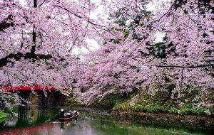 Seasonal Travel: Best Tra