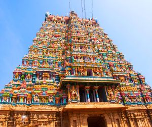 Where Shakti Awakens: Navratri Celebrations at Goddess Temples Across India