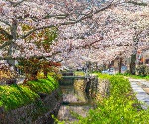 Top 10 Beautiful Spring Destinations to Visit Worldwide