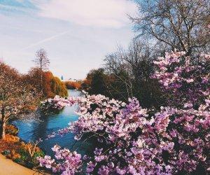 Best Places to Visit in Europe for a Magical Spring Break