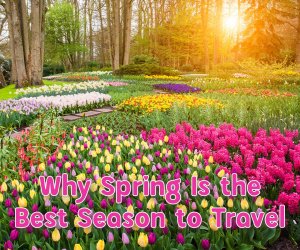Why Spring Is Perfect for Slow and Mindful Travel 