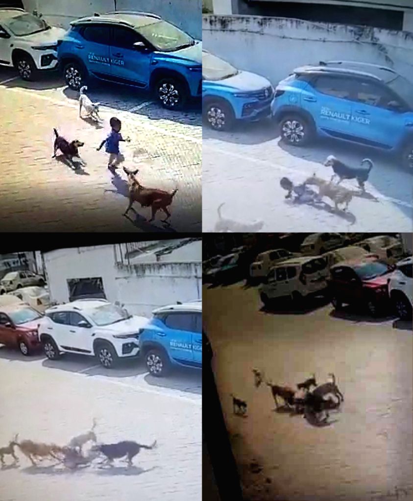 A CCTV grab of a four-year-old boy was mauled to death by stray dogs