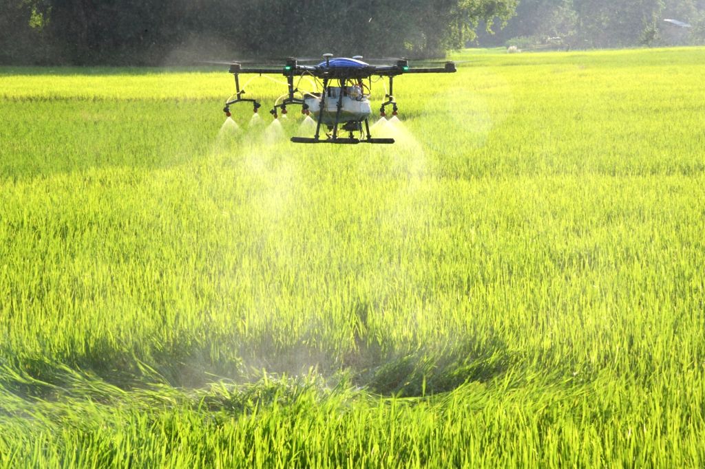 A drone being used to spray fertilizers and pesticides in a field