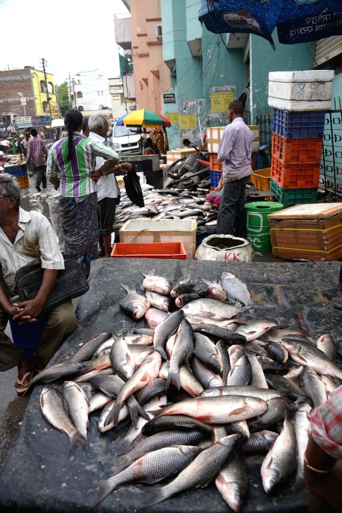 Fish market