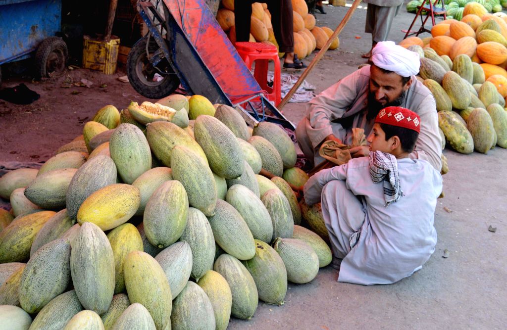 AFGHANISTANKUNDUZFRUIT