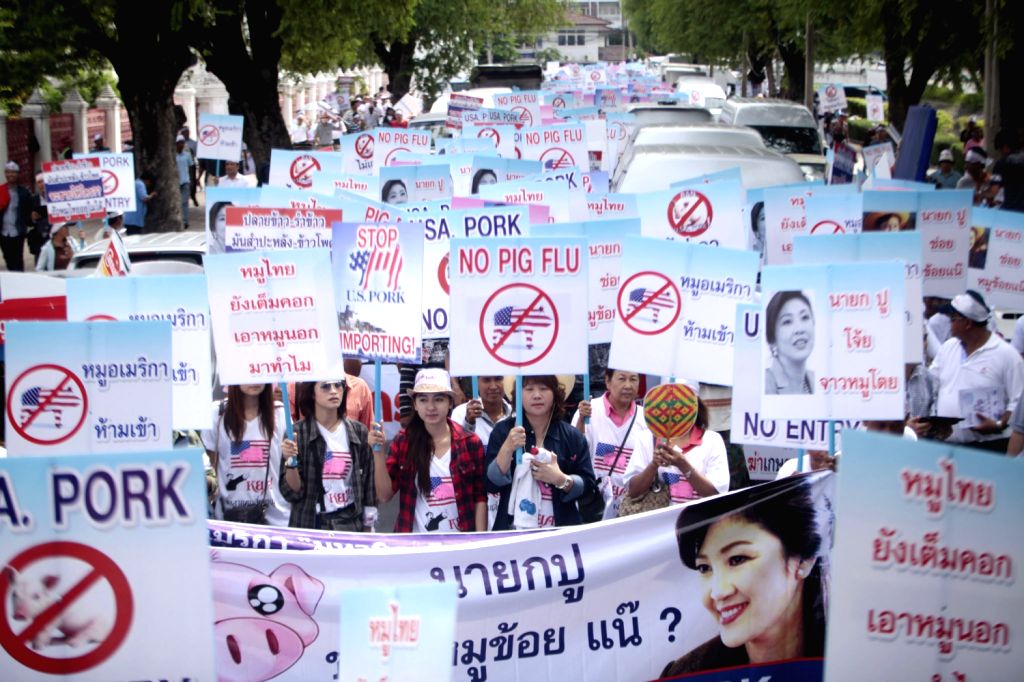 Pigs Protesting Thai pig famers protest outside the Government House in Bangkok