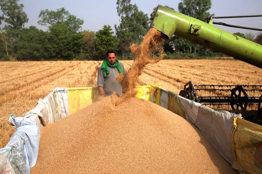Centre relaxes norms for wheat procurement in Punjab, Haryana