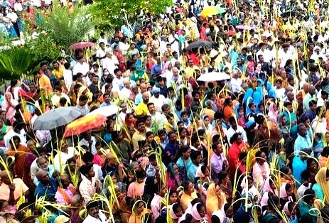 Free Photo : Christians celebrate 'Palm Sunday' at TN's Velankanni