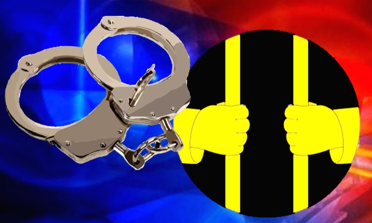 DRI arrests masterminds in 100cr worth smuggling racket operating ...
