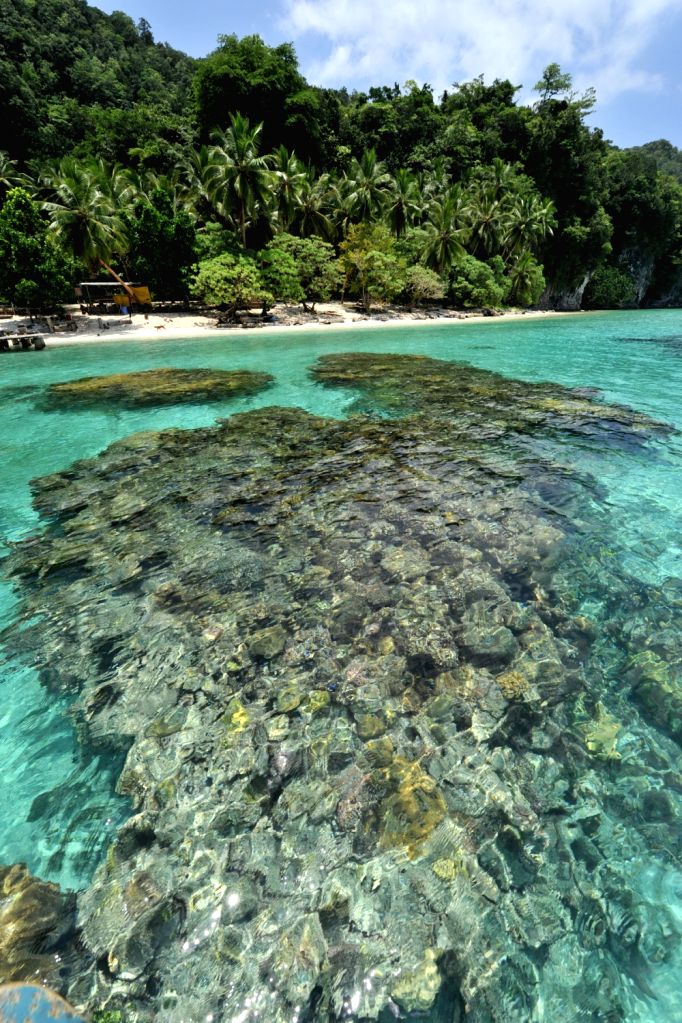 East Rennell of Solomon Islands