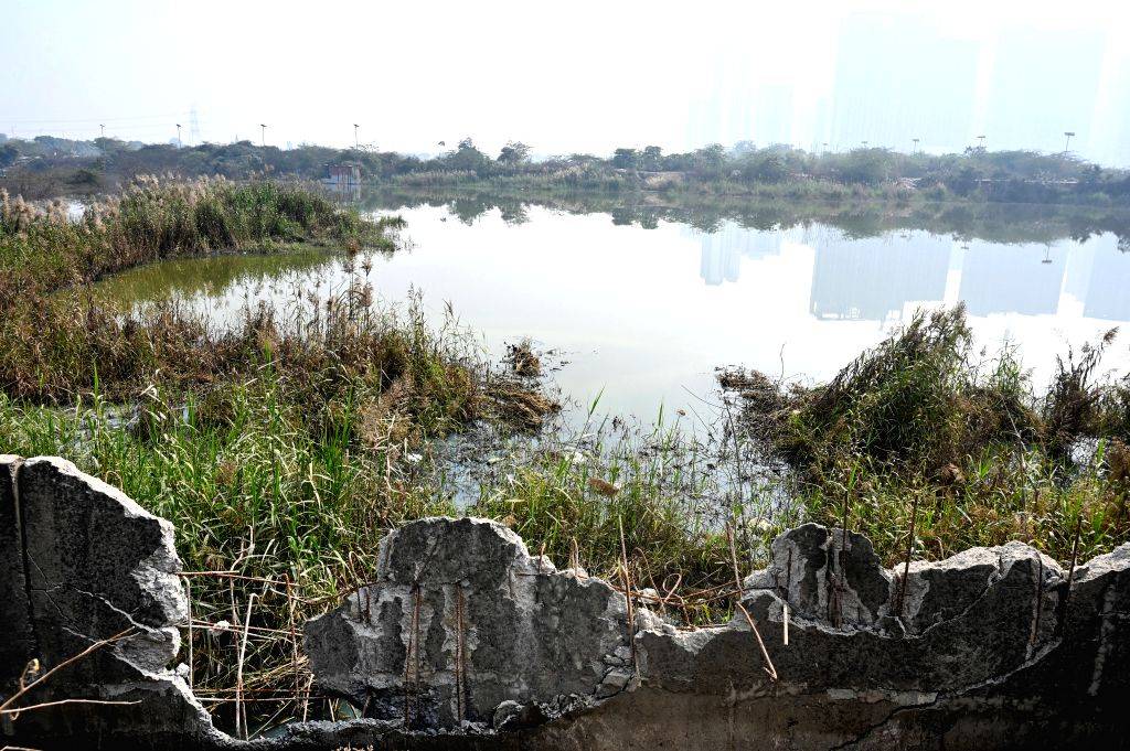 Engineer Dies After SUV Plunges into Water‑Filled Pit in Noida