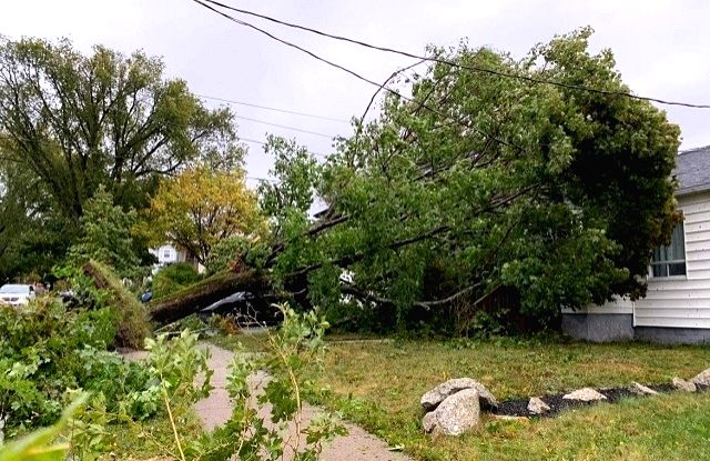 Free photo : Hurricane Fiona causes record-breaking damage in Canada