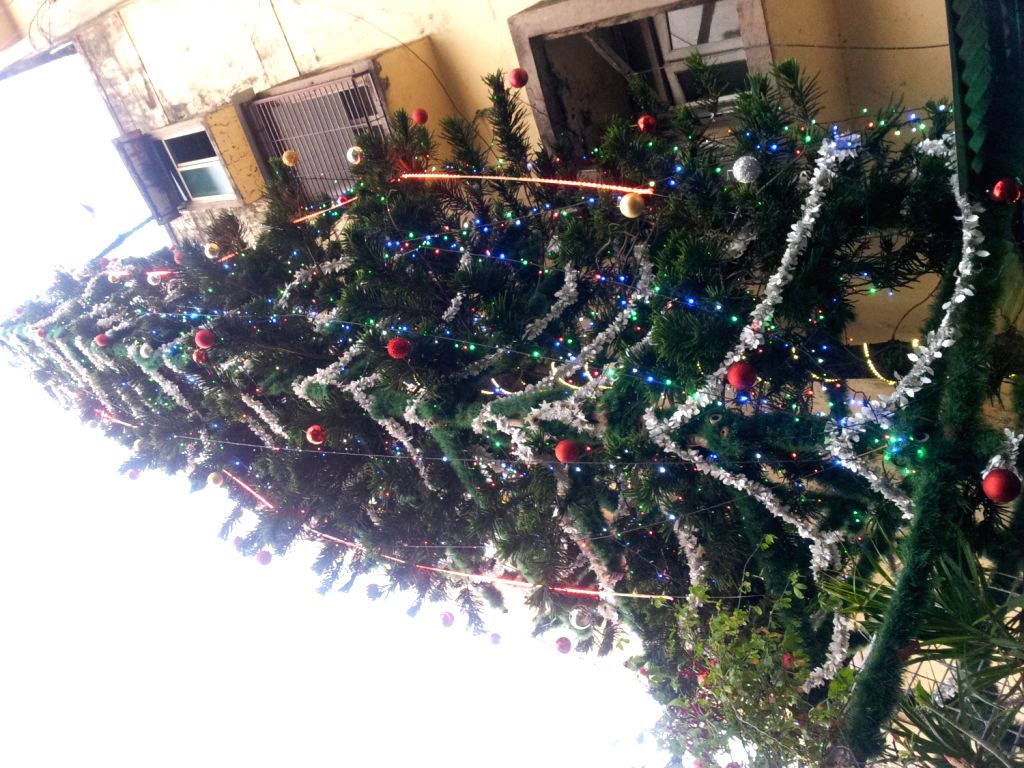 Indiaâ s tallest Christmas Tree