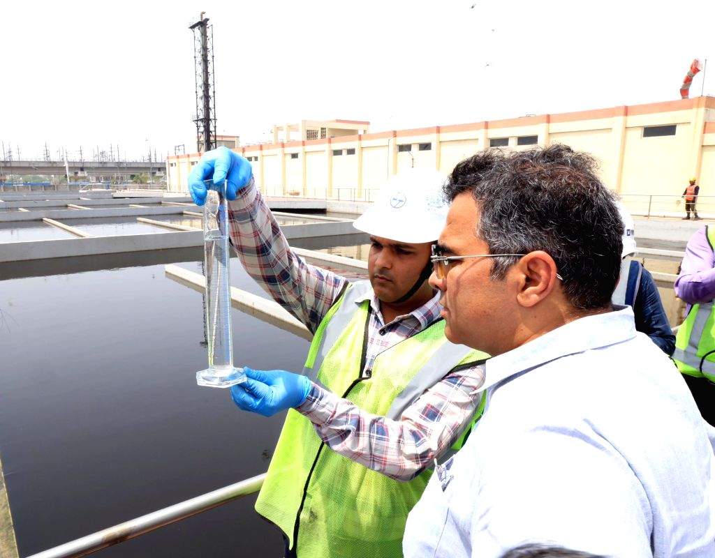 Stp Inspection Inspection of Coronation Pillar STP