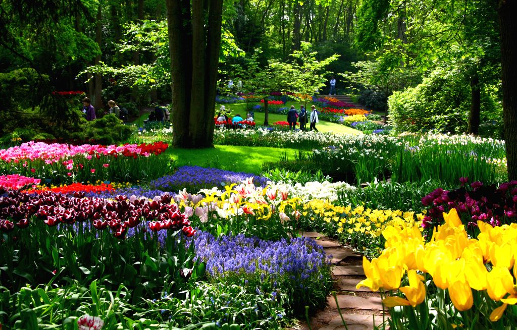 Visitors walk inside Keukenhof Garden in Lisse