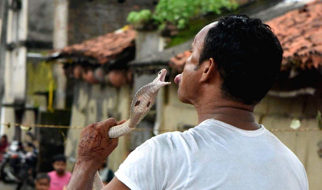 Snake Rituals ‘Mansa Puja’ Rituals