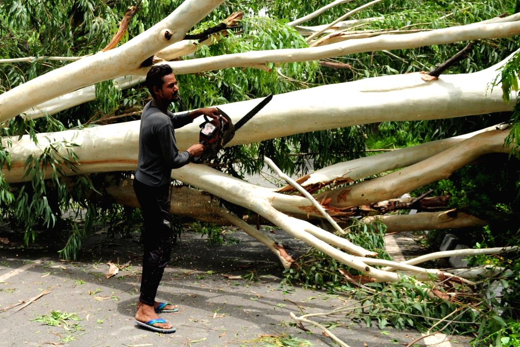 New Delhi After Heavy Rainfall And Thunderstorm PWD Workers Remove 