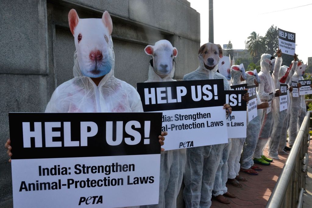 International Animal Rights Day and Human Rights Day