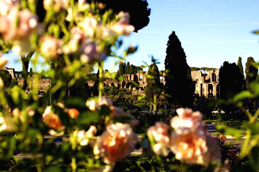 ITALY-ROME-ROSE GARDEN