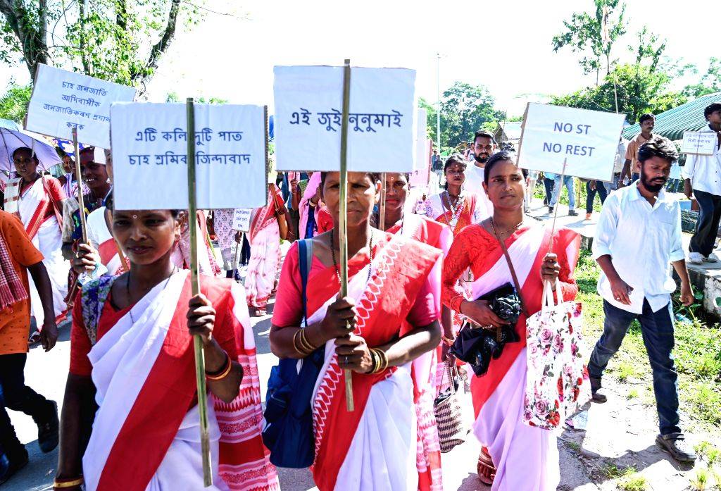 Tea Tribe and Adivasi Groups Hold Major Protest
