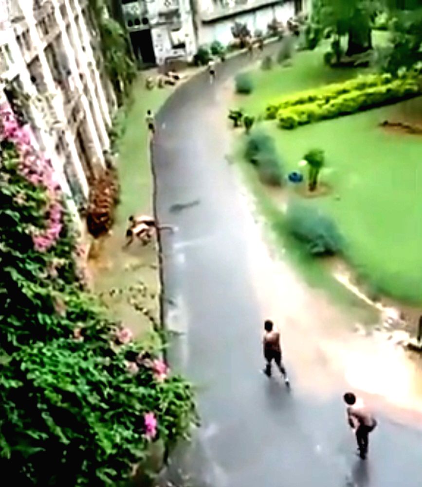 Tn Medical University Seeks Report From Cmc Vellore On Ragging Incident