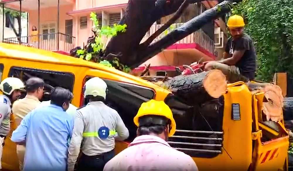Tree falls on school van in Chembur