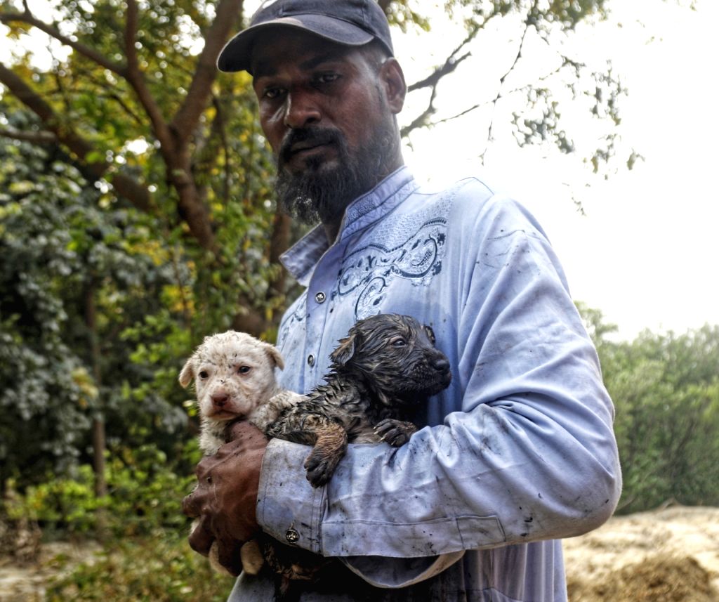 puppies being rescued from the fire after it broke out in a forest