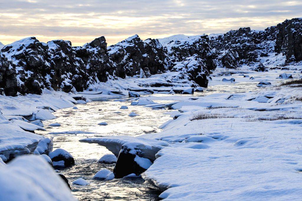 Winter Scenery 
