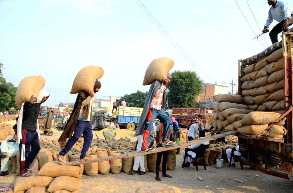 Workers load a sack containing rice grain into a truck.