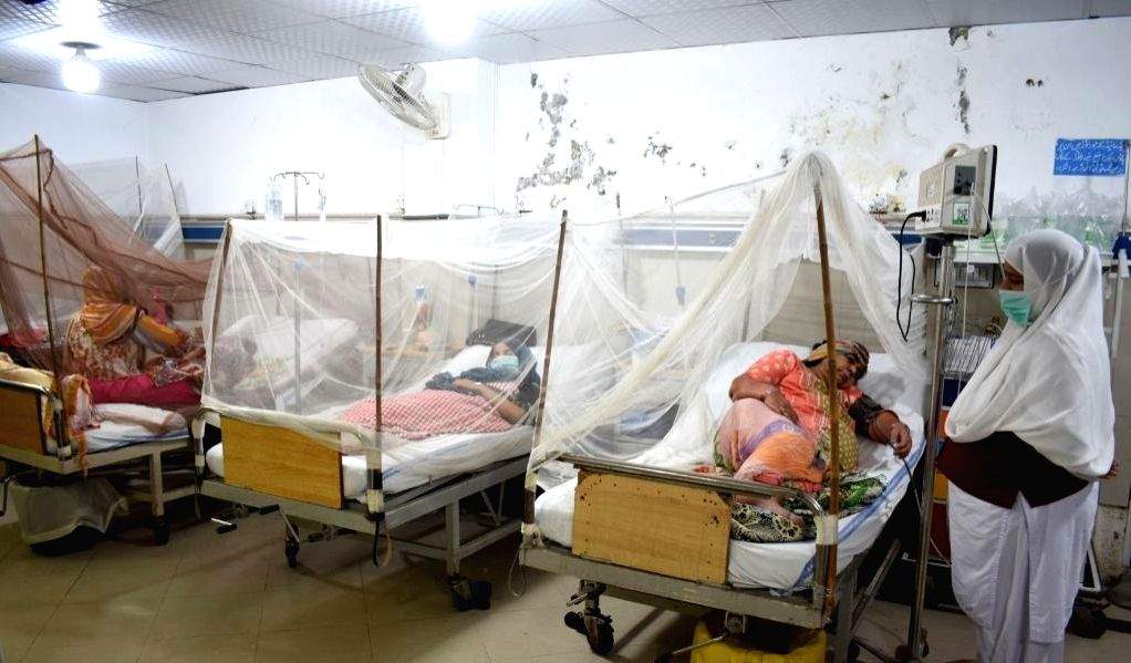 Patients infected with dengue fever