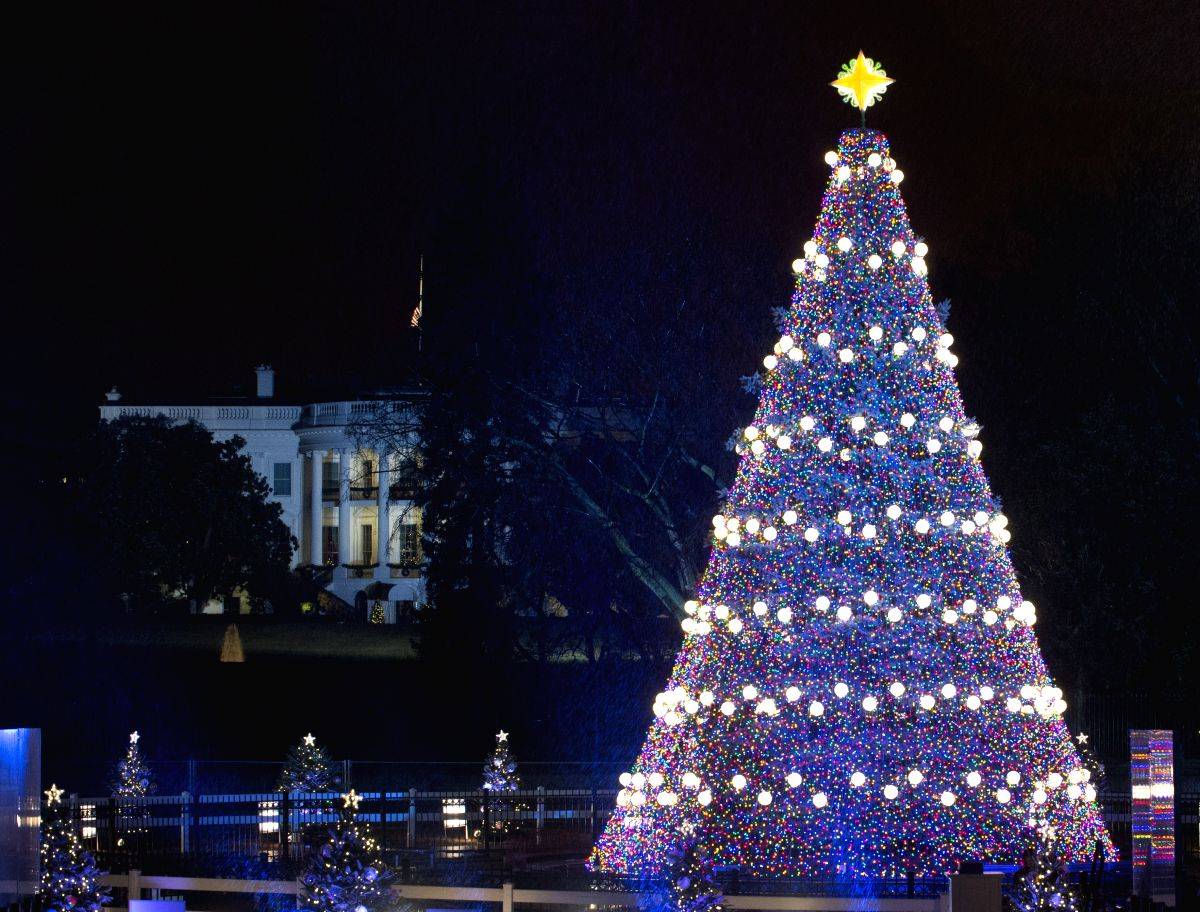 Trumps light 97th annual National Christmas Tree