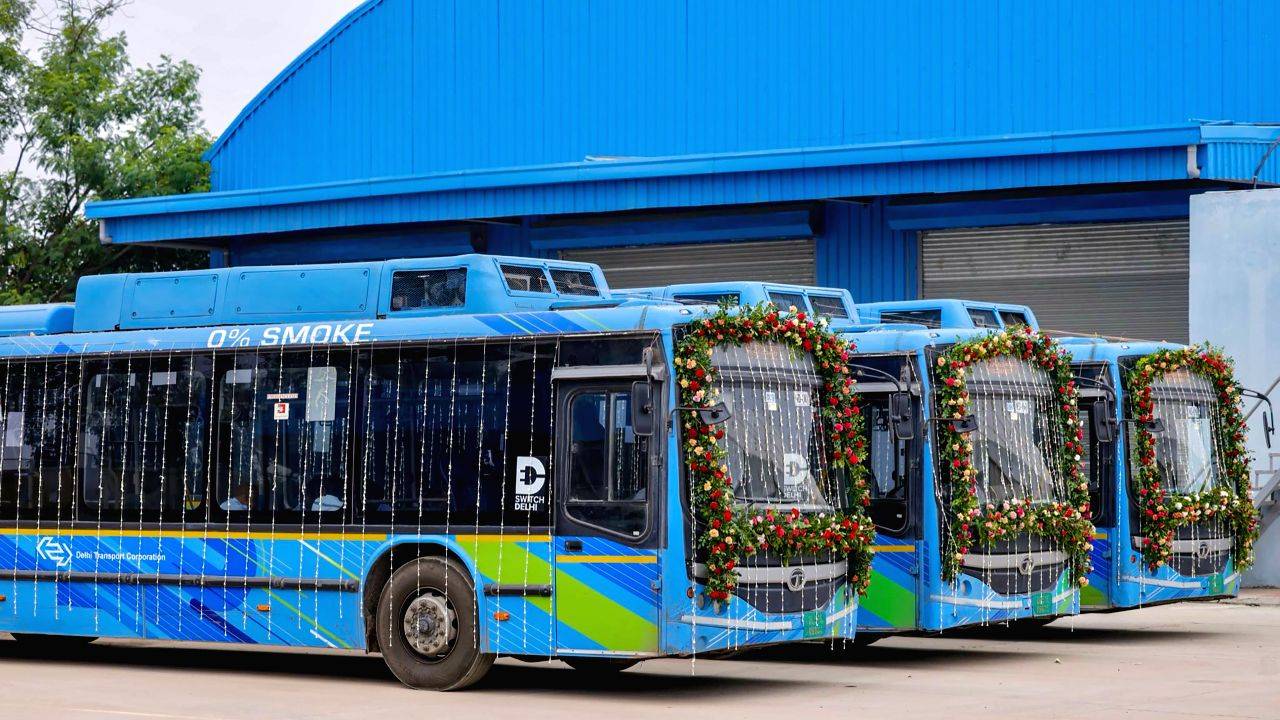 Special Buses