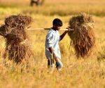 Empower youth in advanced technologies and make farmers self-reliant: Chief Minister