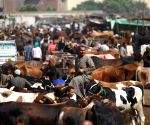 ‘Operation-4’ in UP: Major transformation in the Dairy sector through indigenous cows, up to 50% subsidy on cattle rearing