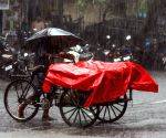 Four of family killed as house roof collapses after heavy rain in K'taka's Vijayapura