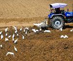 Mandi Parishad working to realize CM Yogi’s vision on the ground, farmers’ interests accorded top priority