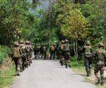 Assam Rifles seize drugs worth Rs 25 crore in Assam, protected medicinal plants in Mizoram